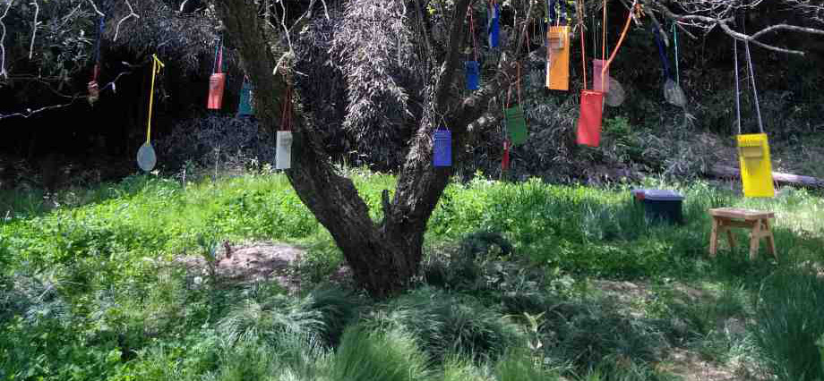 フライングカリンバ